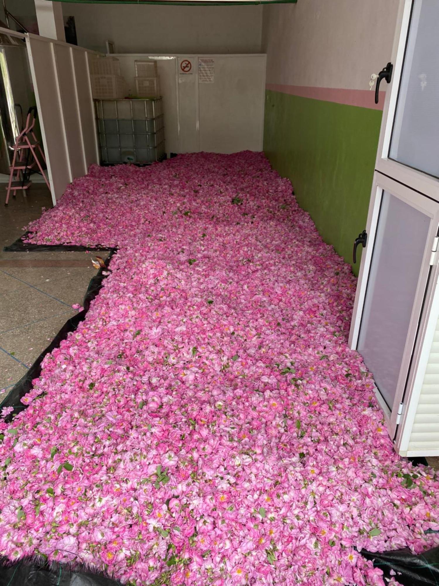Dar Mgouna Roses Kelaat-M'Gouna Exterior foto